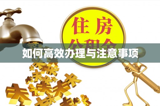 大城如何高效办理与注意事项