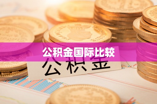 大城公积金国际比较