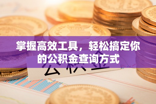 大城掌握高效工具，轻松搞定你的公积金查询方式