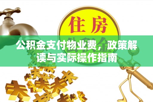 大城公积金支付物业费，政策解读与实际操作指南