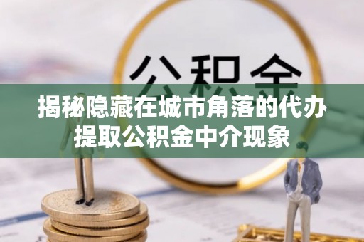 大城揭秘隐藏在城市角落的代办提取公积金中介现象