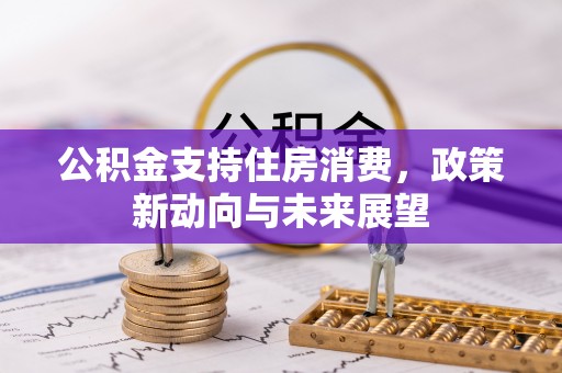 大城公积金支持住房消费，政策新动向与未来展望