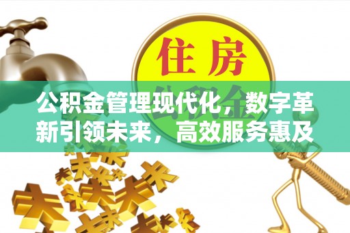 大城公积金管理现代化，数字革新引领未来，高效服务惠及民生