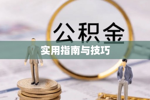 大城实用指南与技巧