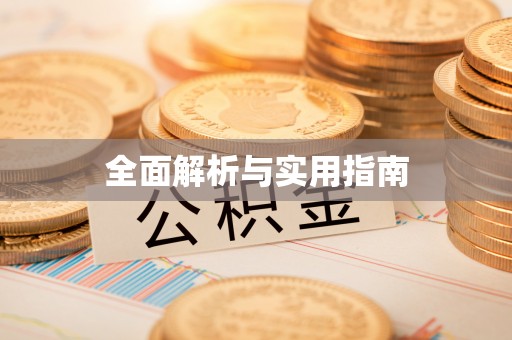 大城全面解析与实用指南