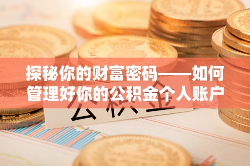 大城探秘你的财富密码——如何管理好你的公积金个人账户信息