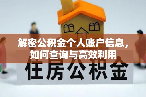 大城解密公积金个人账户信息，如何查询与高效利用