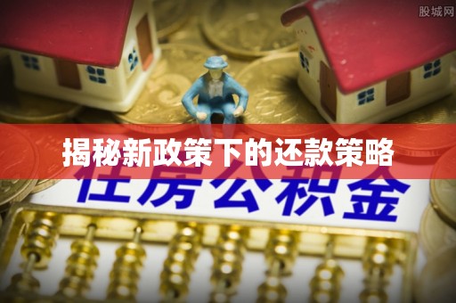 大城揭秘新政策下的还款策略