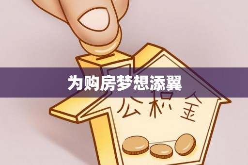 大城为购房梦想添翼