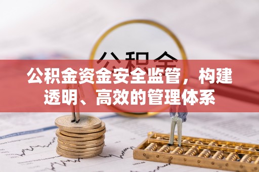 大城公积金资金安全监管，构建透明、高效的管理体系