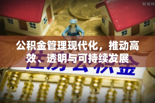 大城公积金管理现代化，推动高效、透明与可持续发展