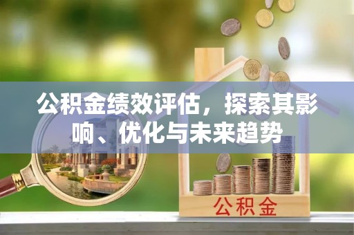 大城公积金绩效评估，探索其影响、优化与未来趋势