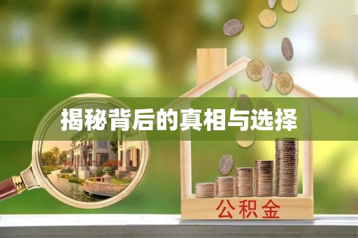 大城揭秘背后的真相与选择