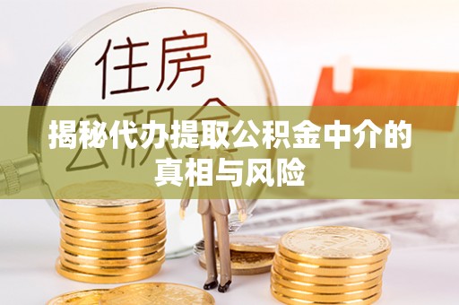 大城揭秘代办提取公积金中介的真相与风险