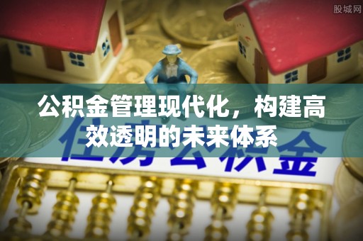 大城公积金管理现代化，构建高效透明的未来体系