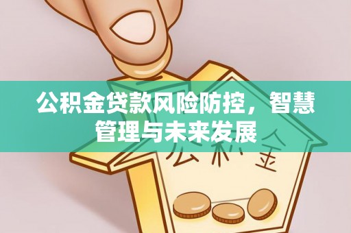大城公积金贷款风险防控，智慧管理与未来发展