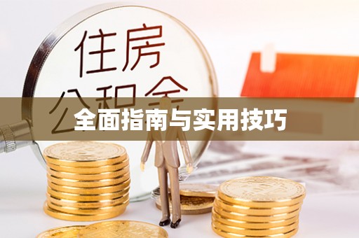 大城全面指南与实用技巧