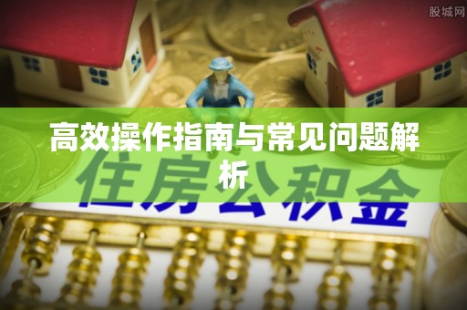 大城高效操作指南与常见问题解析