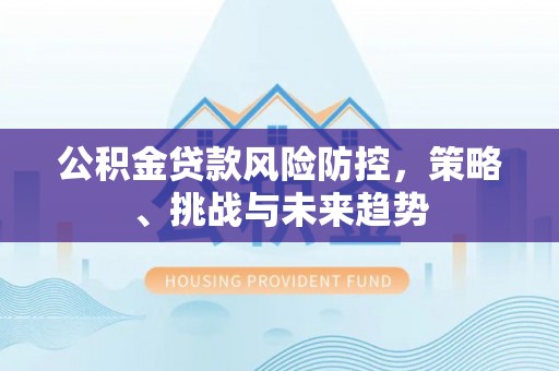 大城公积金贷款风险防控，策略、挑战与未来趋势