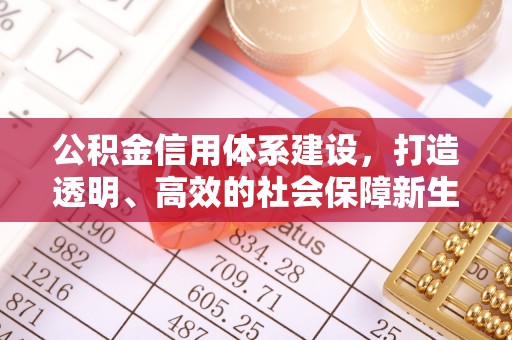 大城公积金信用体系建设，打造透明、高效的社会保障新生态
