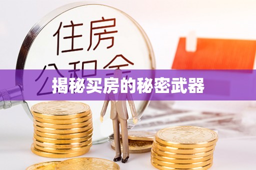 大城揭秘买房的秘密武器