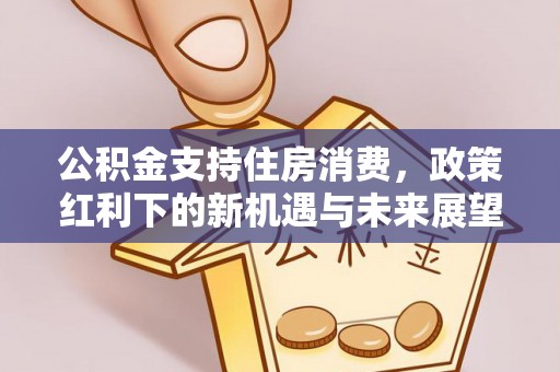 大城公积金支持住房消费，政策红利下的新机遇与未来展望