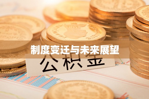大城制度变迁与未来展望