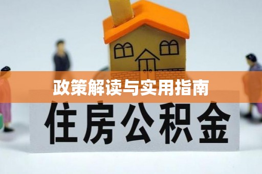 大城政策解读与实用指南