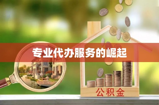 大城专业代办服务的崛起