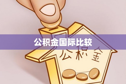 大城公积金国际比较