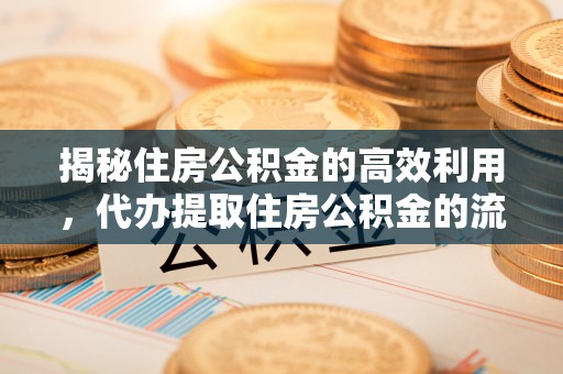 大城揭秘住房公积金的高效利用，代办提取住房公积金的流程与技巧