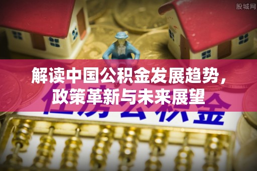大城解读中国公积金发展趋势，政策革新与未来展望