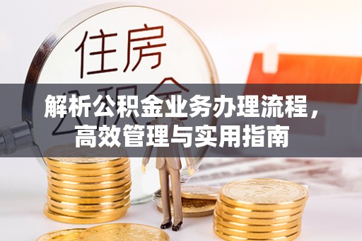 大城解析公积金业务办理流程，高效管理与实用指南