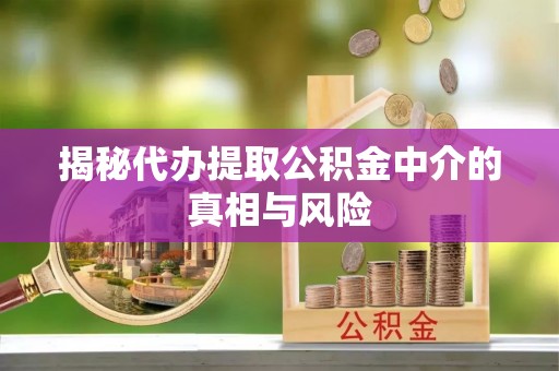 大城揭秘代办提取公积金中介的真相与风险