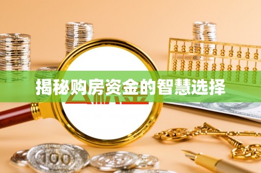 大城揭秘购房资金的智慧选择