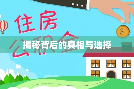 大城揭秘背后的真相与选择