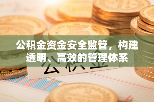 大城公积金资金安全监管，构建透明、高效的管理体系