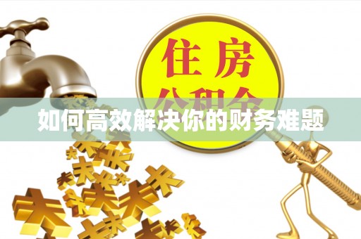 大城如何高效解决你的财务难题