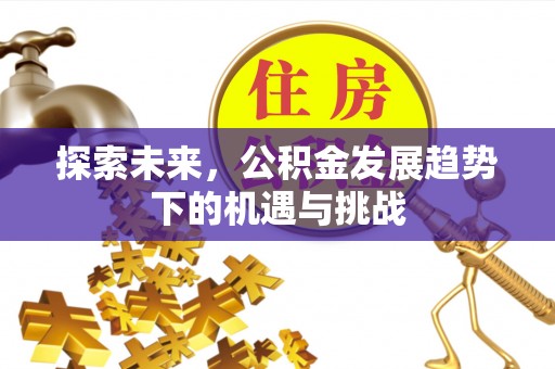 大城探索未来，公积金发展趋势下的机遇与挑战