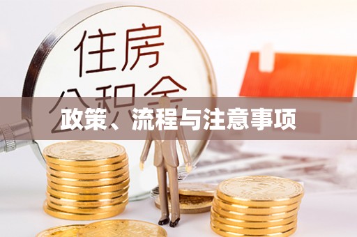 大城政策、流程与注意事项