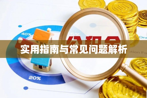 大城实用指南与常见问题解析