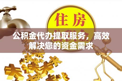 大城公积金代办提取服务，高效解决您的资金需求