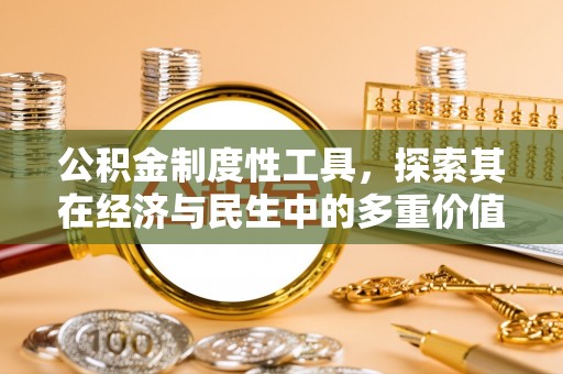 大城公积金制度性工具，探索其在经济与民生中的多重价值