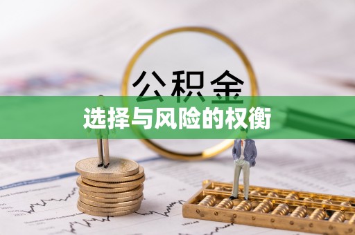大城选择与风险的权衡