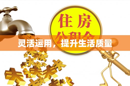 大城灵活运用，提升生活质量