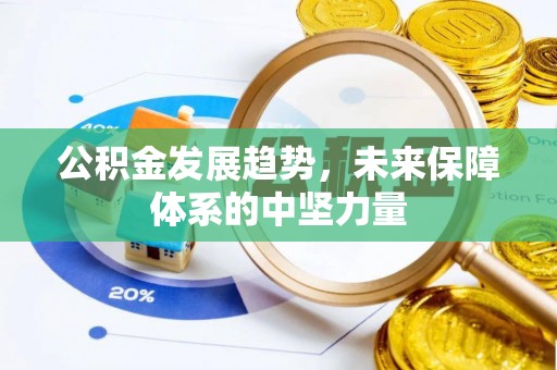 大城公积金发展趋势，未来保障体系的中坚力量