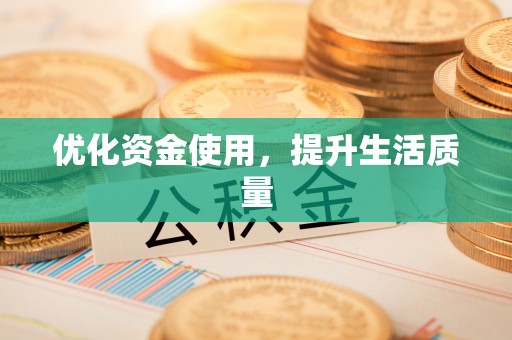 大城优化资金使用，提升生活质量