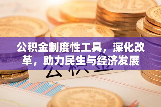 大城公积金制度性工具，深化改革，助力民生与经济发展