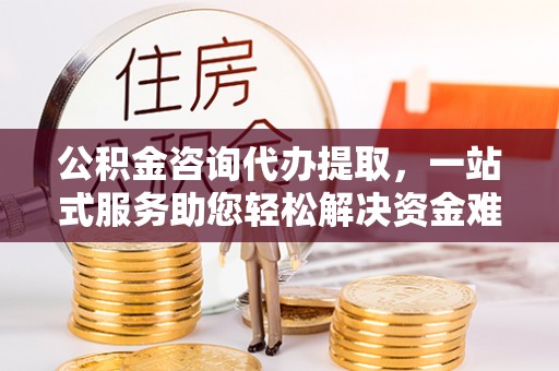 大城公积金咨询代办提取，一站式服务助您轻松解决资金难题