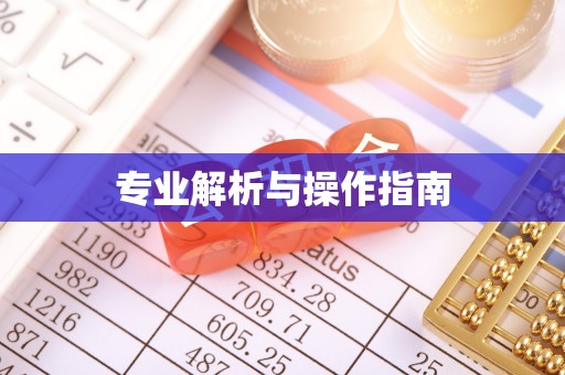 大城专业解析与操作指南
